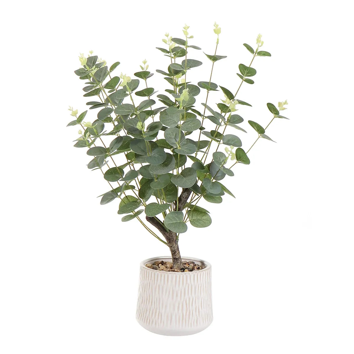 imgi_32_green-62cm-eucalyptus-artificial-plant-in-natural-ceramic-pot_5063022718006_01c_bq Green 62cm Eucalyptus Artificial plant in Natural Ceramic Pot - Image 1