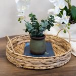 Candlelight Green 18cm Chinese Money Artificial plant in Green Ceramic Pot - Image 2