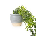 50cm Eucalyptus Artificial plant in Grey Ceramic Pot - Image 2