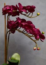Fiori Aubergine Orchid Plant Artificial Plant Foliage - Image 5