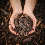 Verve Landscape Dark brown Small Bark chippings 100L Bag - Image 6