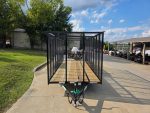 6.4x18 Debris Junk Trash Removal Leaf Trailer 6ft Mesh Sides (2) 3500lb Axles Tube Railing - Image 2