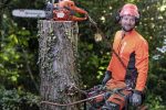 Husqvarna 545 II Gas-Powered 50.1cc X-Torq .050 Gauge 16" Chainsaw (Unboxed) - Image 22