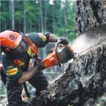 Husqvarna 562 XP® G 20" Professional 59.8cc .050" Gauge Gas-Powered Chainsaw - Image 4